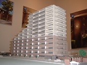 �}���V�����͌^�P